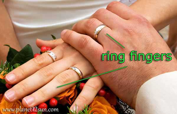 ring finger