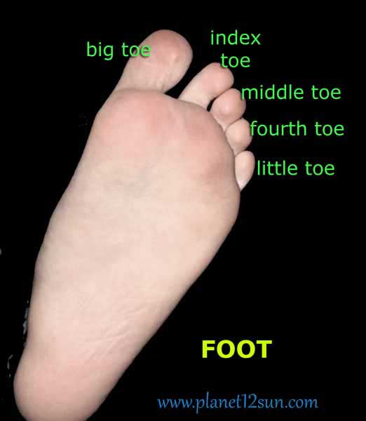 toe names