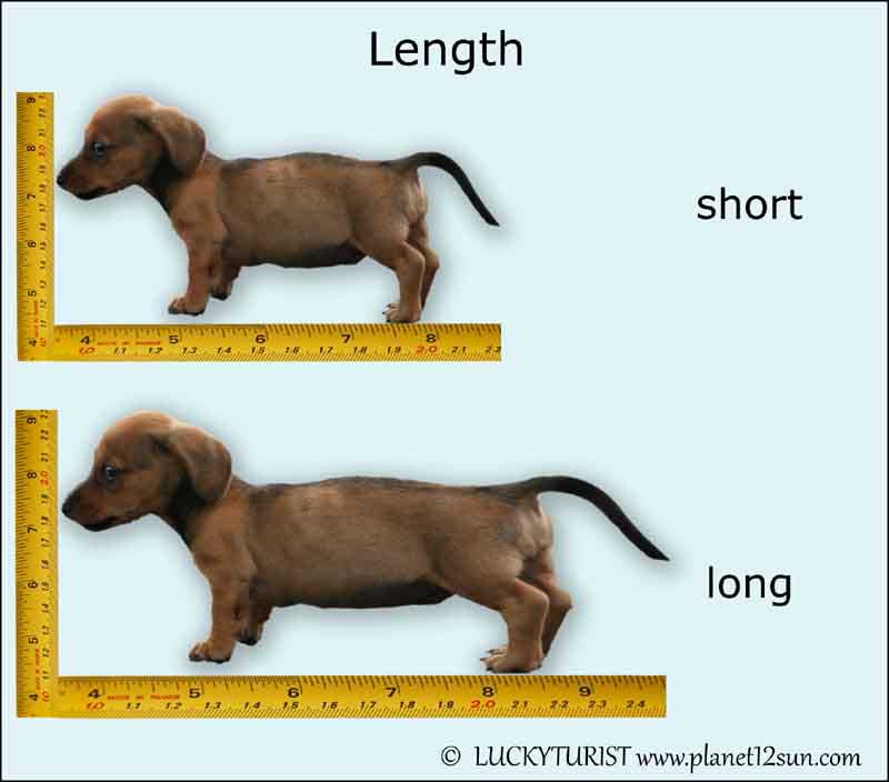 length